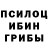 Галлюциногенные грибы мицелий Maria Bystra
