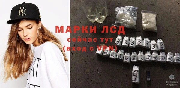 гидра Верея