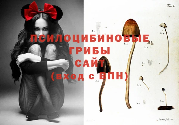 Альфа ПВП Верхнеуральск