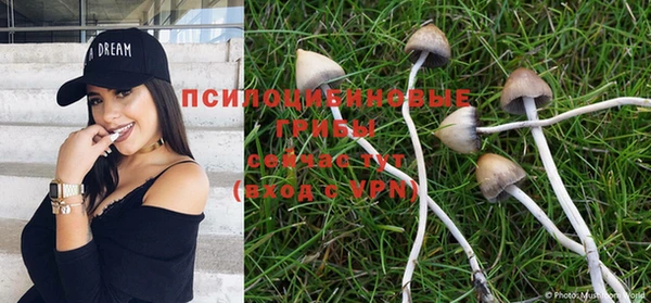 Альфа ПВП Верхнеуральск