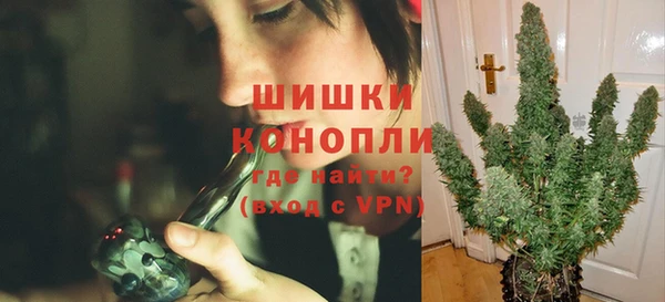 гидра Верея