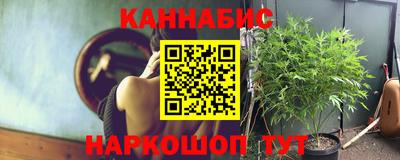 сатива Владикавказ