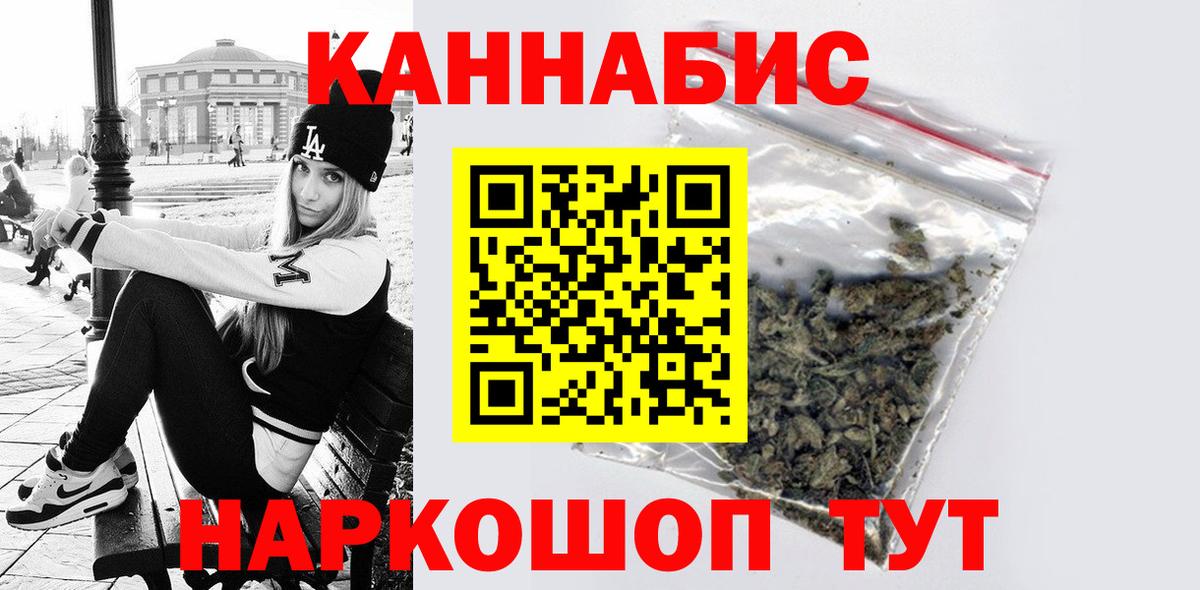 Бошки Шишки планчик Великие Луки